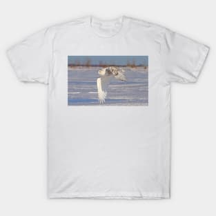 Snowy Owl T-Shirt